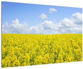 Egy sárga mező képe (90x60 cm)