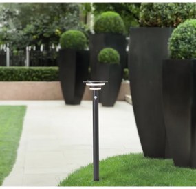 Brilliant - LED Napelemes lámpa érzékelővel GARVINA LED/3W/3,7V 85 cm IP44 fekete