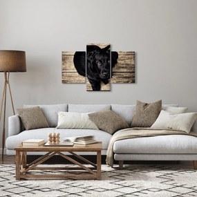 Egy fekete kiskutya képe (90x60 cm)