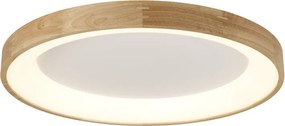 AZZARDO 2698 SILVAMLED Kerek Mennyezeti Lámpa LED IP20