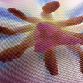 Kép - Tulipán virág részletesen (120x50 cm)