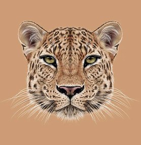 Fotográfia Illustrative Portrait of Leopard, ant_art