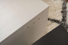 Dohányzóasztal Orion - Wood Fehér, Fekete