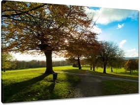 Vászonkép 90x60 Őszi tájkép