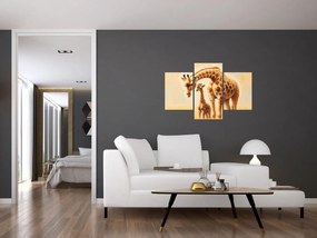 Kép - Zsiráfok (90x60 cm)