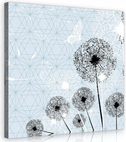 Vászonkép 40x40 Pitypang pillangók magok könnyedség tavasz nyár levegő