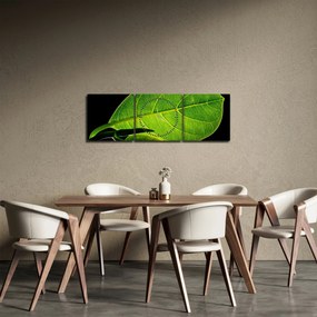 Kép - zöld levél (órával) (90x30 cm)
