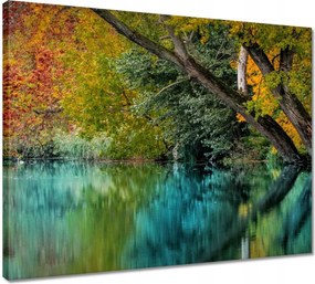 Vászonkép 50x40 Őszi táj Folyó