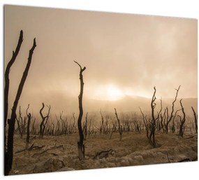 Kép - Csupasz fák (üvegen) (70x50 cm)