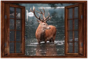 Poszterek 120x80 Szarvas felszarvazott