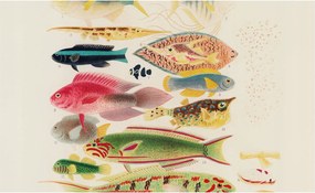 Flizelin tapéta Divatos 3D fali ragasztó Színes halak 416x254 ragasztó