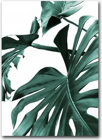 Monster Levelek poszter A3 42X29,7cm kép #138