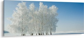 Egy havas táj képe (120x50 cm)