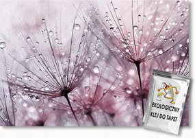 Fotótapéta Flizelina Akvarell Természet Virágok Pitypang Makró 350x250 ragasztó