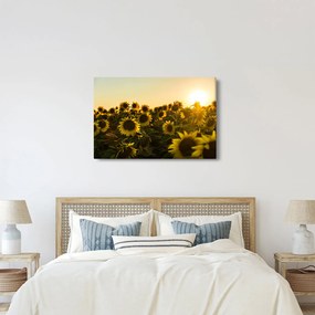 A napraforgó mező képe (90x60 cm)