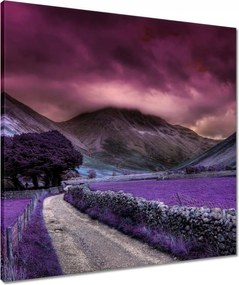 Vászonkép 60x60 Lila tájkép
