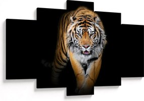 Kép - Tigris (150x105 cm)