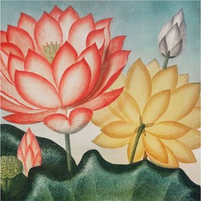 Dekoratív fotótapéta Falra Könnyű összeszerelés Lótusz virágok 250x250 Ragasztó