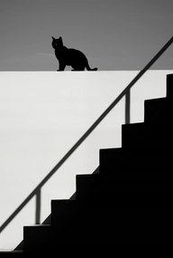 Poszter 68x101cm Sziluett és szimmetria