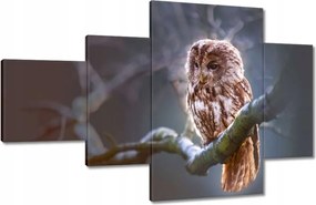Vászonkép 130x80 Bagoly az ágon Ragadozó
