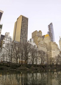 Poszter 39,5x55cm Központi park Manhattan panoråmåval 3, Assaf Frank
