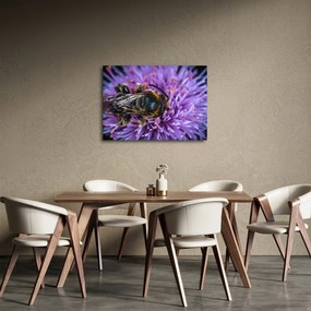Méh a virágon képe (70x50 cm)
