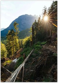 Poszterek 70x100 Hegyek Napfény Erdő Ösvény