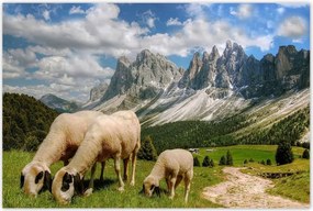Poszterek 120x80 Hegyek Juh legeltetés