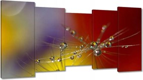 Vászonkép 150x80 Pitypang Virág Virágok