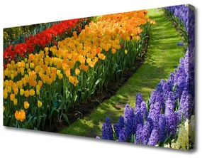 Vászonfotó Tulipán virágok kert 100x50 cm