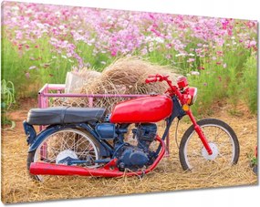 Képek 100x70 Motorkerékpár Motorok Motorkerékpárok