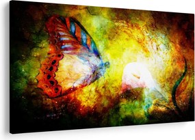 Kép - Kozmikus pillangó (90x60 cm)