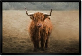 Poszterek keretben 60x40 Szarvasmarha szarvak