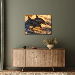 Kép - Delfinek (70x50 cm)