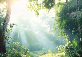 Fotótapéta Erdő Fák Természet Hálószoba Nappali Tapéta Flizelina 200x140