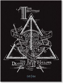 Vászonkép Harry Potter Deathly Hallows 60x80cm WDC99902