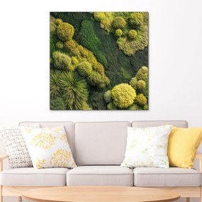 DUBLEZ | Moha kép - Zöld oázis (imitáció)