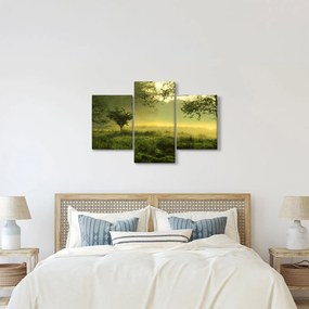 Kép - Ébredő erdő (90x60 cm)