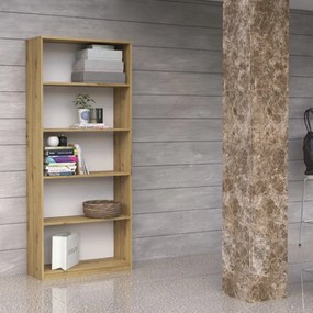 Shannan R60 polcos szekrény, 60x182x30 cm, tölgy