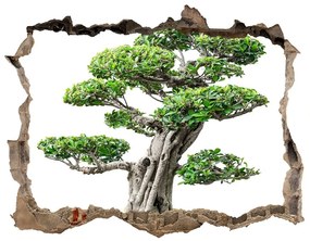 3d lyuk fal dekoráció Bonsai fa nd-k-88907159