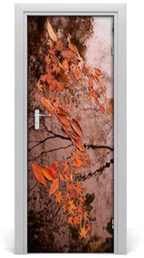 Ajtó tapéta Őszi levelek 75x205 cm