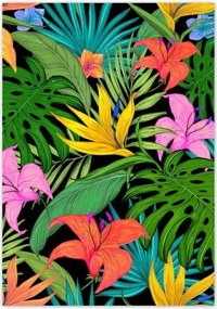 Poszterek 70x100 Levelek Monstery Levelek