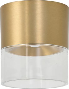 Liman LED általános mennyezeti lámpa