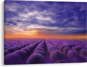 Egy levendula mező képe (70x50 cm)