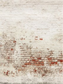 Flizelin fotótapéta Tégla festékkel régi fal hatás 206x275 +ragasztó