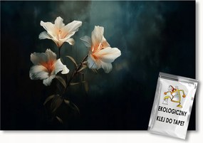 Fotótapéta Flizelina Természet Virágok Fehér Liliomok Chiaroscuro 100x75 ragasztó