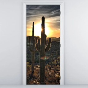 Fotótapéta ajtóra - Kaktuszok a napon (95x205cm)