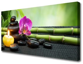 Vászonkép falra Virág bambusz Zen Spa 100x50 cm