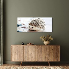 Sündisznó képe (120x50 cm)