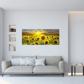 Kép - Napraforgók naplementében (120x50 cm)